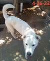 Harry Pawter of the Hogwarts family - Photo 5