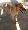 Buster - ** - Photo 6