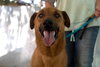 Buster - ** - Photo 2