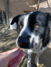 Jack Jack - Photo 9