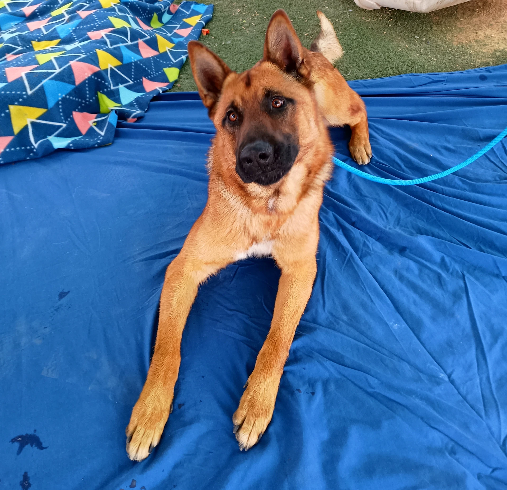 Angelito- In Foster Home