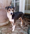 Cruiser-Tiny cutie! - Photo 7
