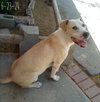 Jingles-his BFF is Baby Girl - Photo 4