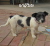 GoGo - Photo 8