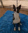 Ferb-IN FOSTER HOME - Photo 9