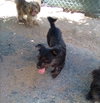 Poe - Photo 5