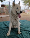 Daddio - Photo 6