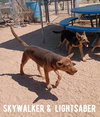 Skywalker - Photo 2
