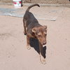 Skywalker - Photo 5
