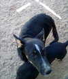 Wanda - Photo 3
