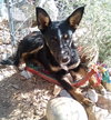 Wanda - Photo 4