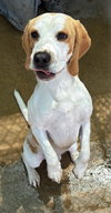 Charlie - Photo 1