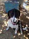 Mailo - Photo 1