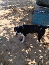 Mailo - Photo 4