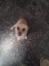 Coco - Photo 3