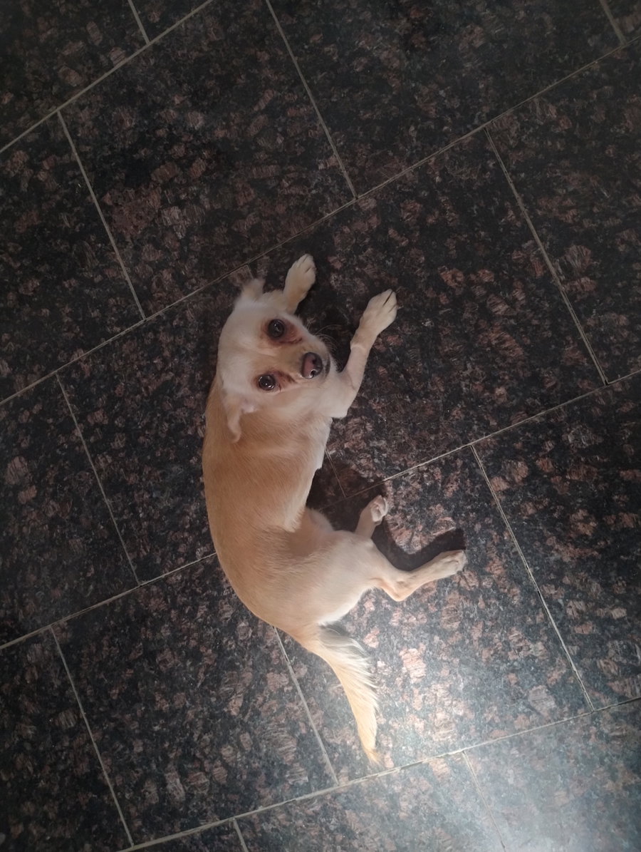 Coco