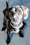 Banner-ADOPTED 12/22/25 - Photo 1