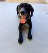 Banner-ADOPTED 12/22/25 - Photo 2