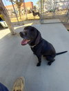 Banner-ADOPTED 12/22/25 - Photo 3