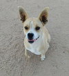 Luna - Photo 3