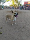 Luna - Photo 2