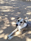 Holly - Photo 2