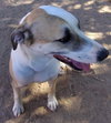 Holly - Photo 3
