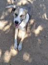 Holly - Photo 4