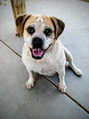 Fiona - Photo 1