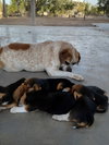 Fiona - Photo 2