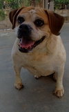 Fiona - Photo 3