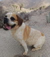 Fiona - Photo 4