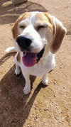 money penny-She's a Bond girl. - Photo 5