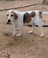 money penny-She's a Bond girl. - Photo 7