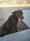 Diego - Photo 2