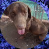 Diego - Photo 3