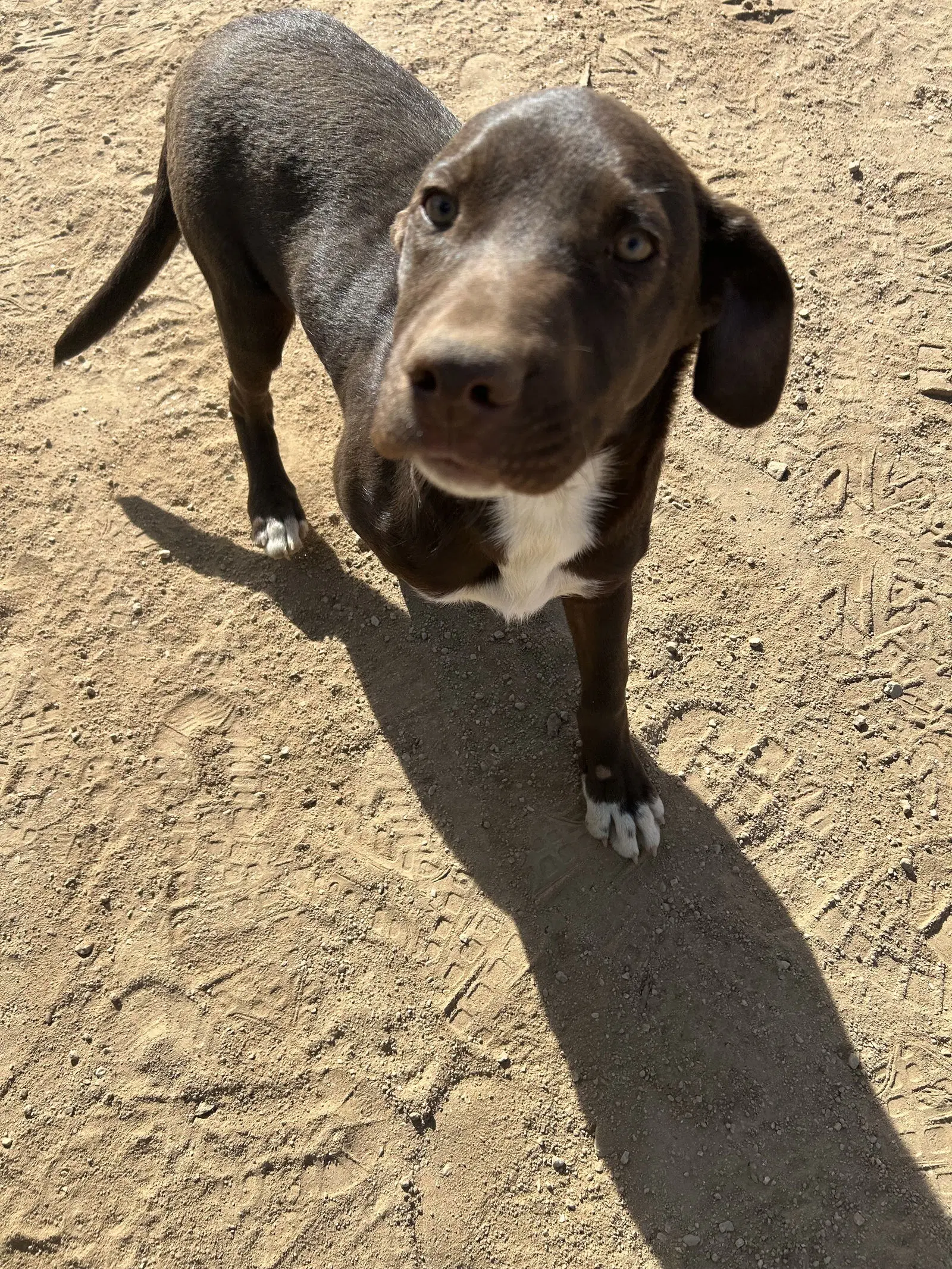 Diego image 4