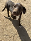 Diego - Photo 4