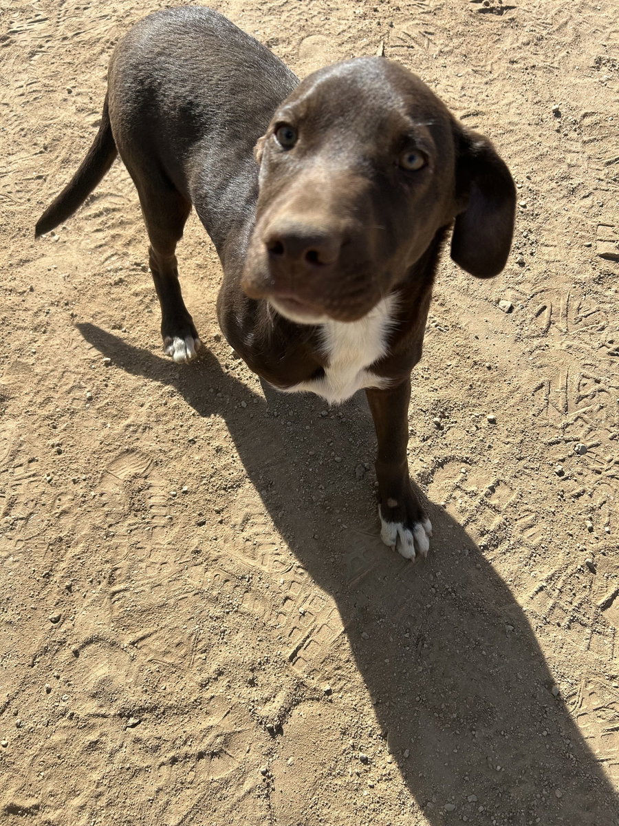 Diego