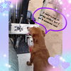 Marty - Photo 1