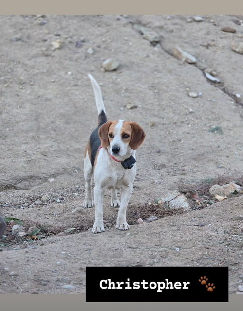 Christopher-adopted 5/10/2026