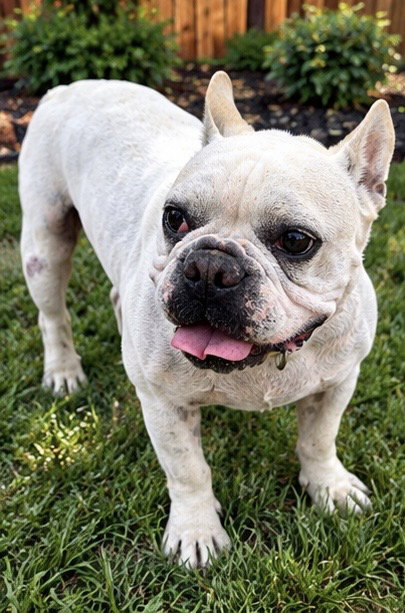 Casper, photo 2