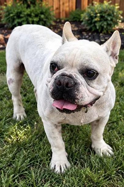 Casper image 2