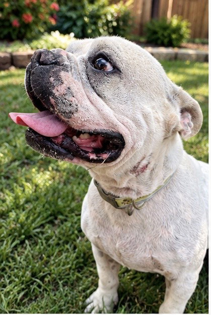 Casper, photo 3