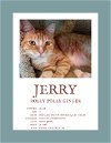 adoptable Cat in herndon, VA named Jerry &(Jesse) FEE SPONSORED