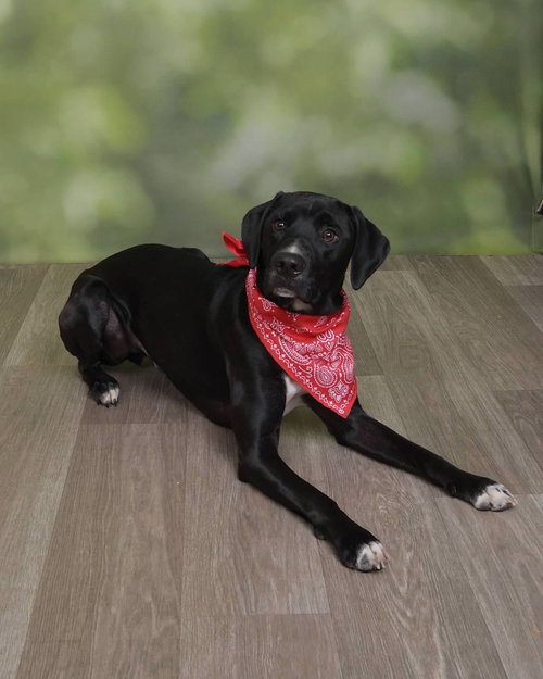 Oakley