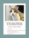 adoptable Cat in , VA named Temone