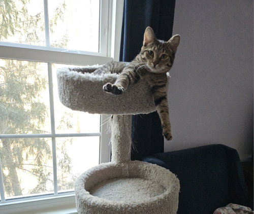 Photo 2 of Wendy