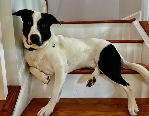 Max