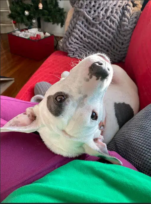 Princess Baby Fee Sponsored Foster Home Needed image 3